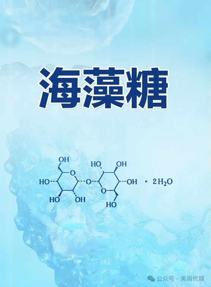 臻选密码 | 海藻糖，开启细胞防护新时代！ - 内容图片 4