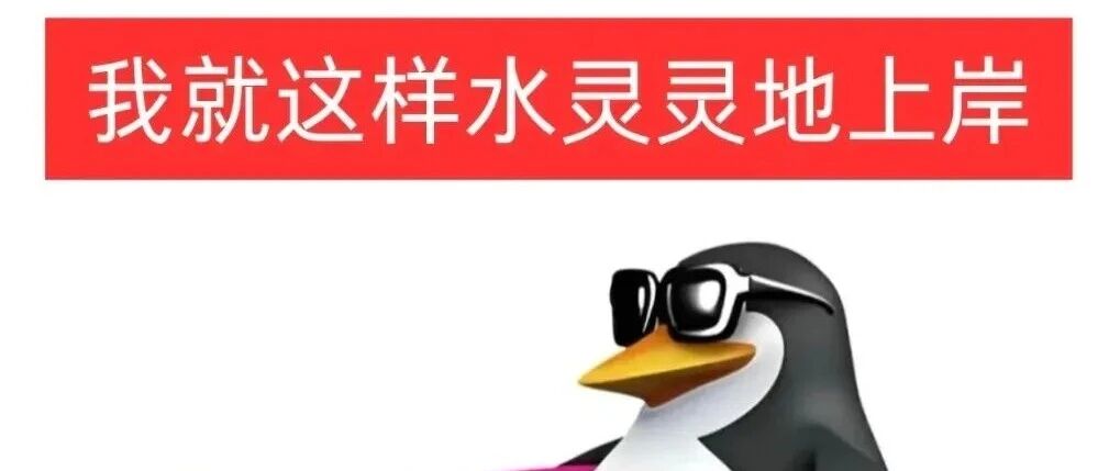 调剂致命坑！别再瞎拼手速了，调剂填志愿是一场考验判断力的博弈