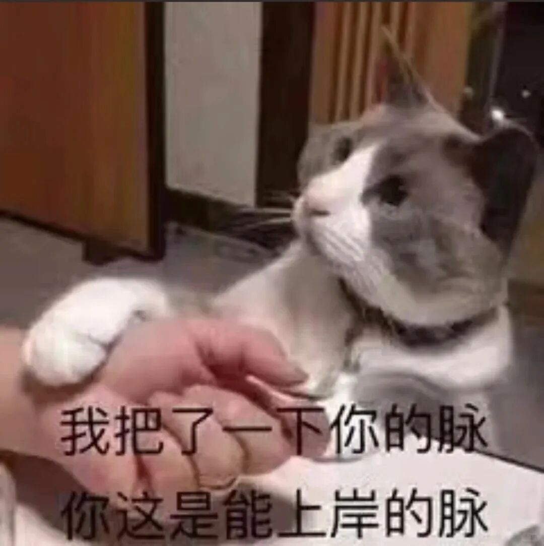历年真题及解析免费领取