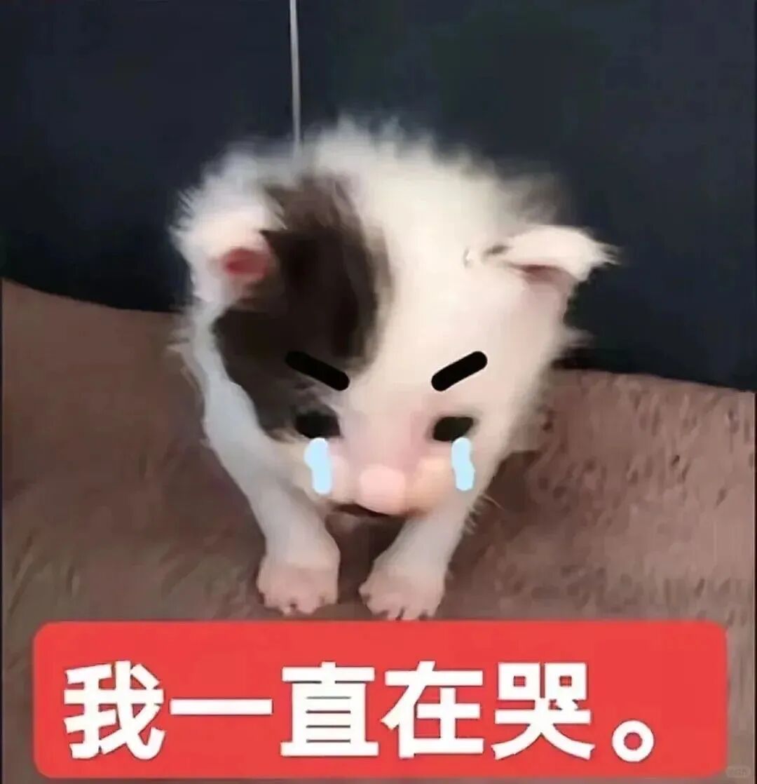 二战考研离校档案问题困扰众多同学