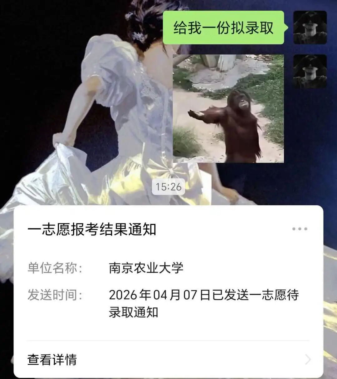接到南京农业大学录取电话