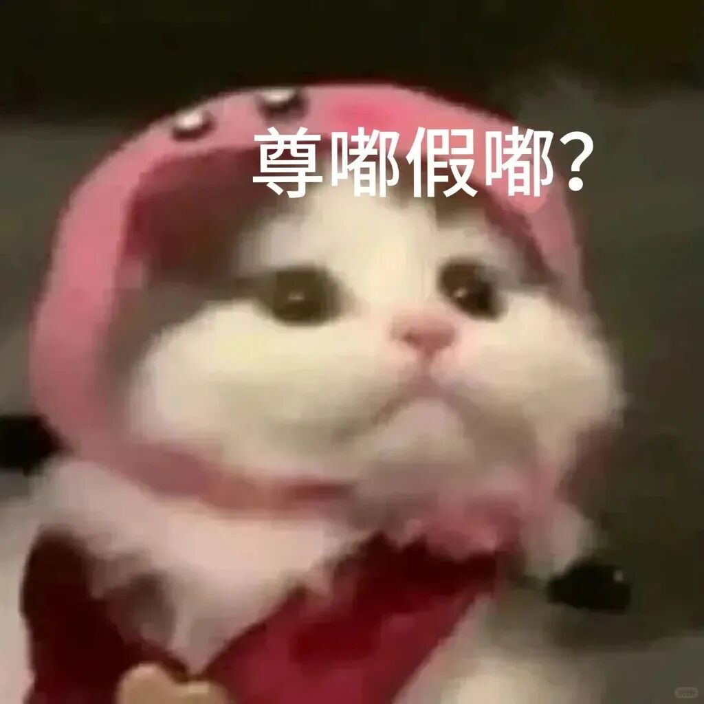 双非硕士就业歧视问题分析