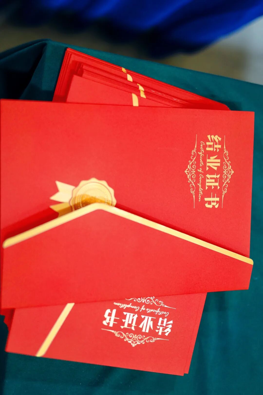 成长夏令营活动场景