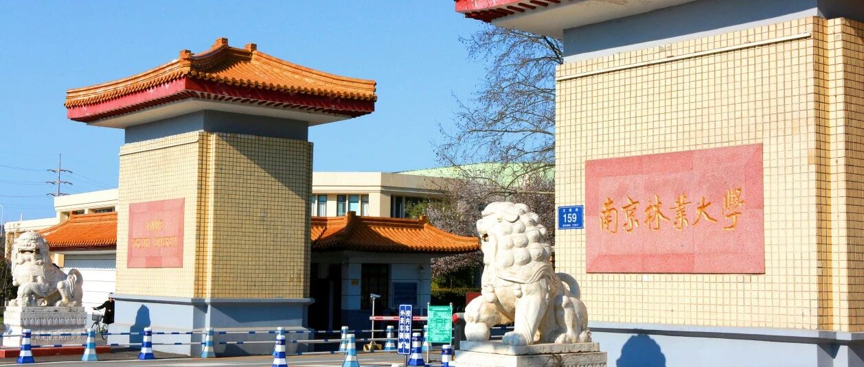 南京林业大学2026年硕士研究生招生简章
