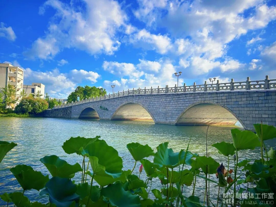 报名