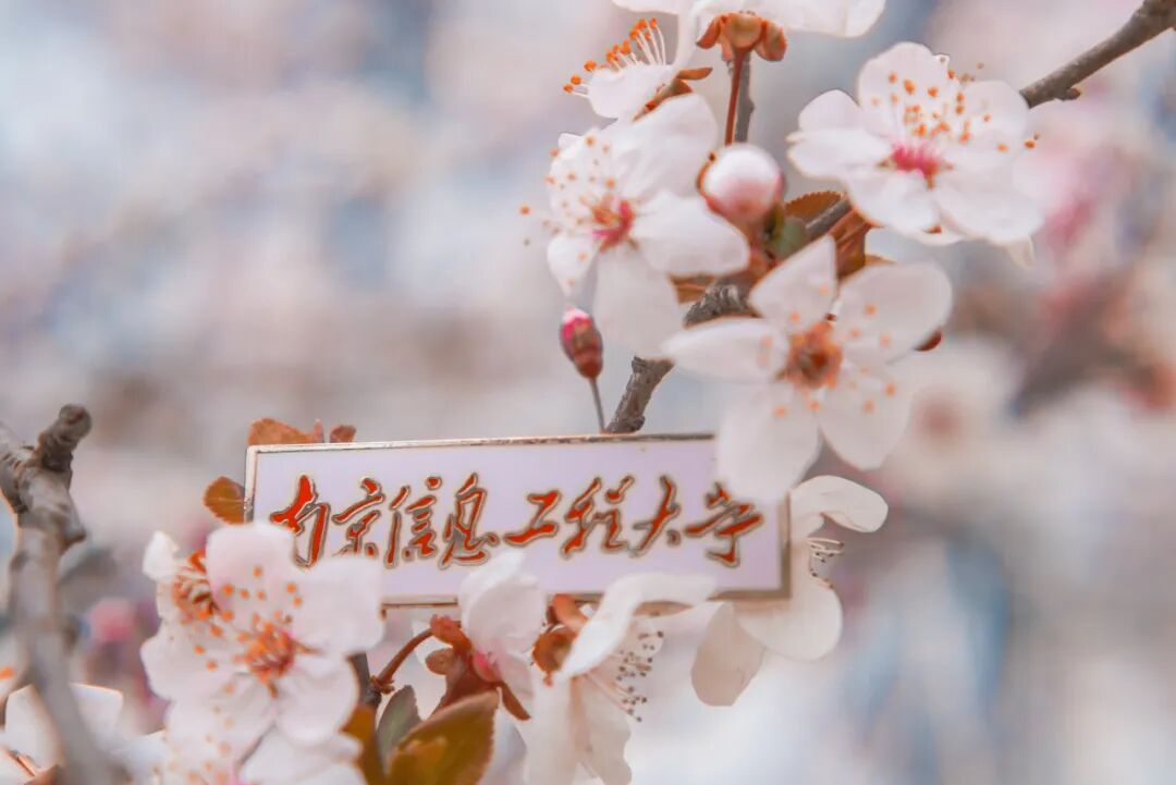 南京信息工程大学研究生招生办公室联系方式