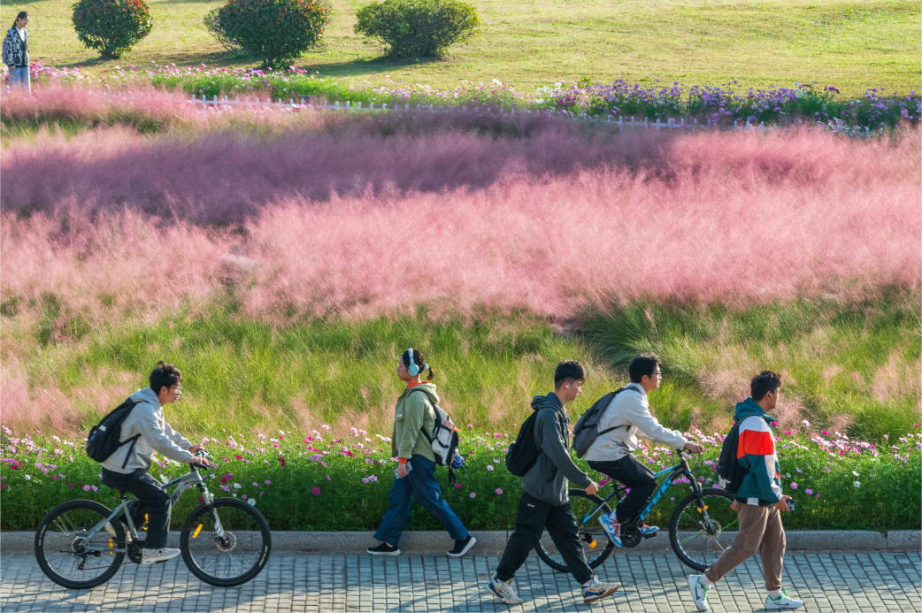 研招宣传 | 南通大学2026年硕士研究生招生章程 - 内容图片 39