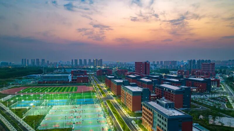 报名信息与报考条件要求