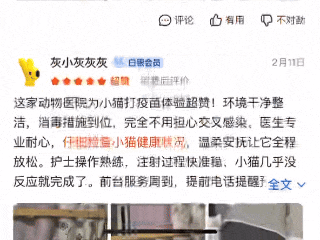 猫咪体检时间表:几岁该查什么?不同年龄段的疾病风险与检查重点 - 内容图片 2