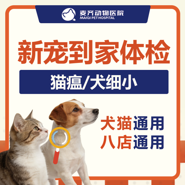 猫咪体检时间表:几岁该查什么?不同年龄段的疾病风险与检查重点 - 内容图片 4