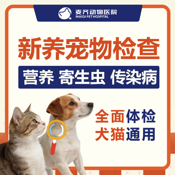 猫咪体检时间表:几岁该查什么?不同年龄段的疾病风险与检查重点 - 内容图片 8