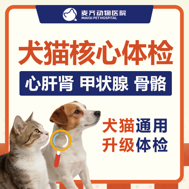 猫咪体检时间表:几岁该查什么?不同年龄段的疾病风险与检查重点 - 内容图片 12