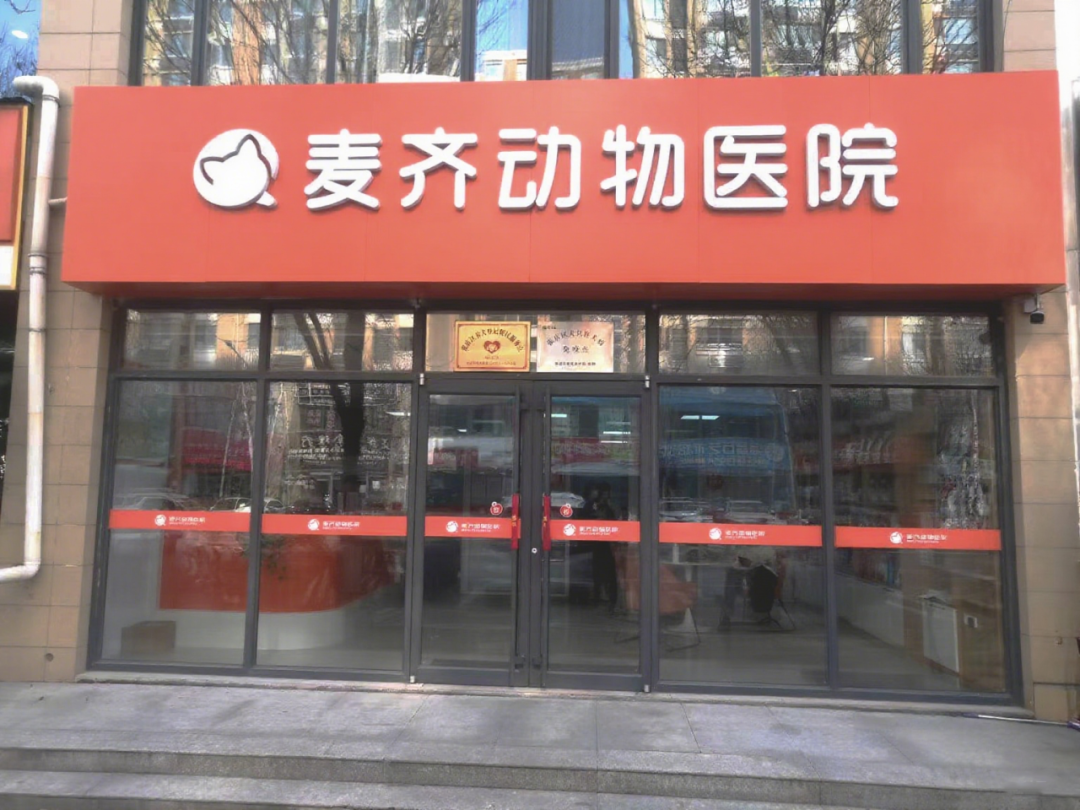 病例甄析丨幼猫腹泻2个月,久治不愈,原因竟是隐匿寄生虫 - 内容图片 2