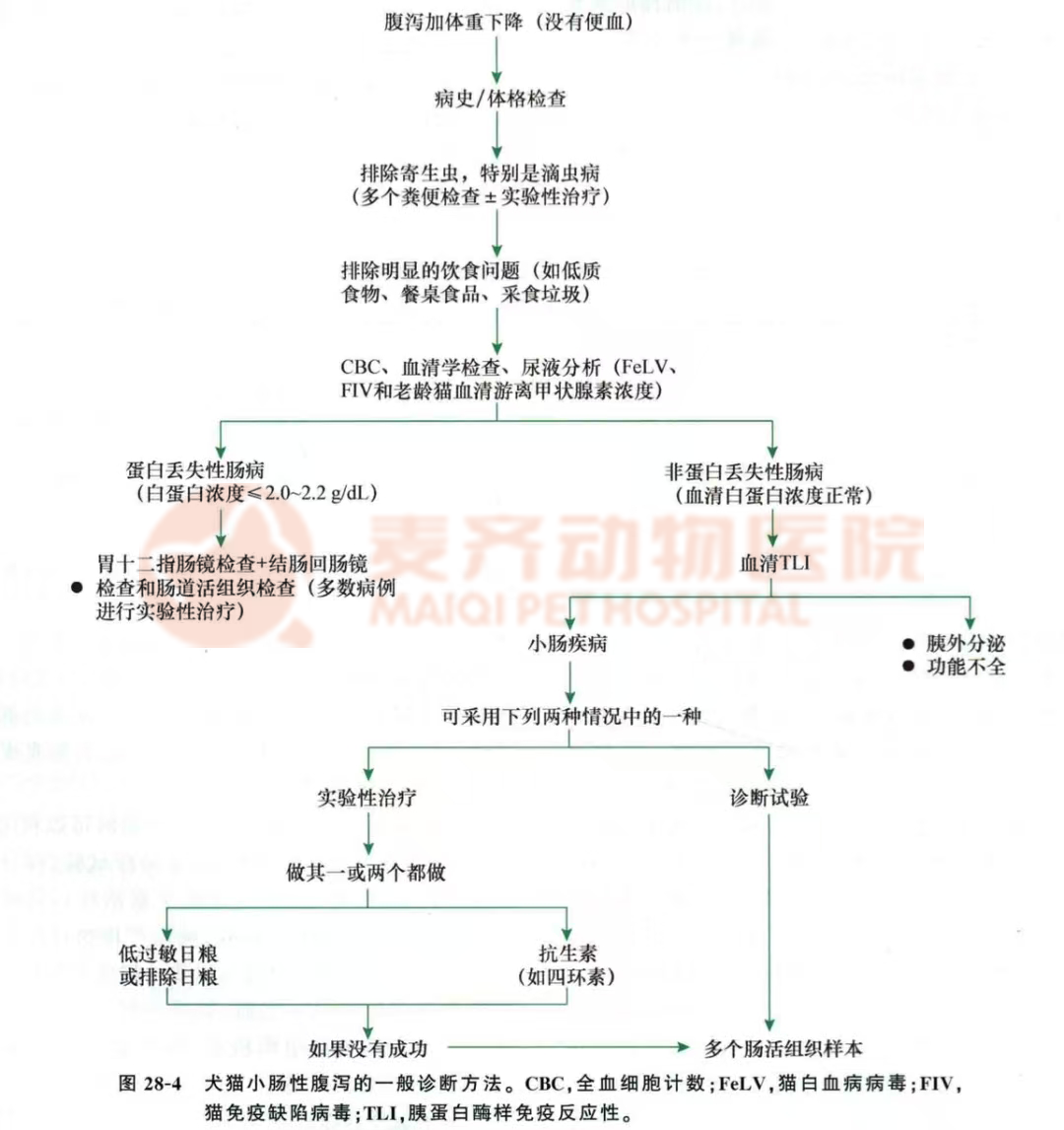 病例甄析丨幼猫腹泻2个月,久治不愈,原因竟是隐匿寄生虫 - 内容图片 3