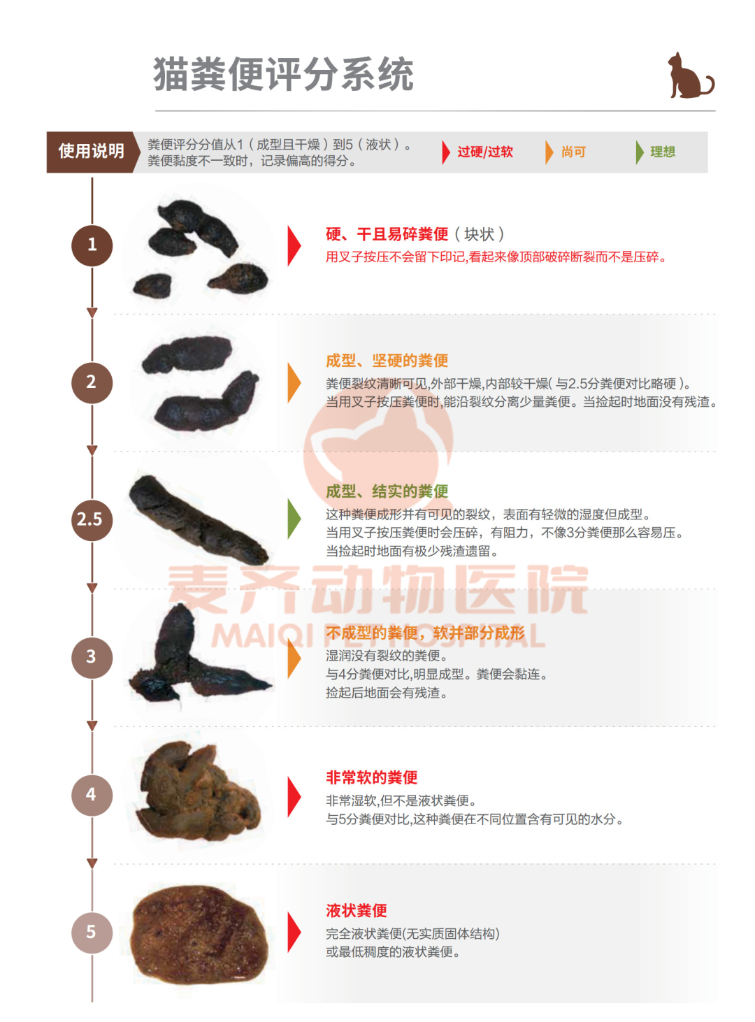 病例甄析丨幼猫腹泻2个月,久治不愈,原因竟是隐匿寄生虫 - 内容图片 6
