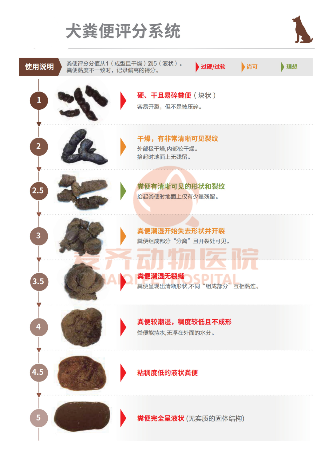 病例甄析丨幼猫腹泻2个月,久治不愈,原因竟是隐匿寄生虫 - 内容图片 7