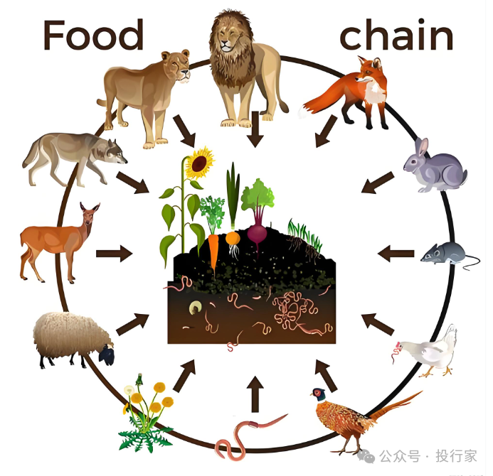 宇树机器人创始人王兴兴